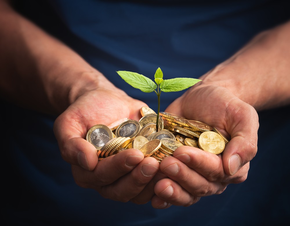 Foto aus Geldmünzen wächst eine Pflanze (Bild: iStock / AlexSava).