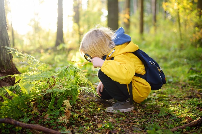 Ein Junge hockt mit einer Lupe in der Natur und betrachtet eine Pflanze.