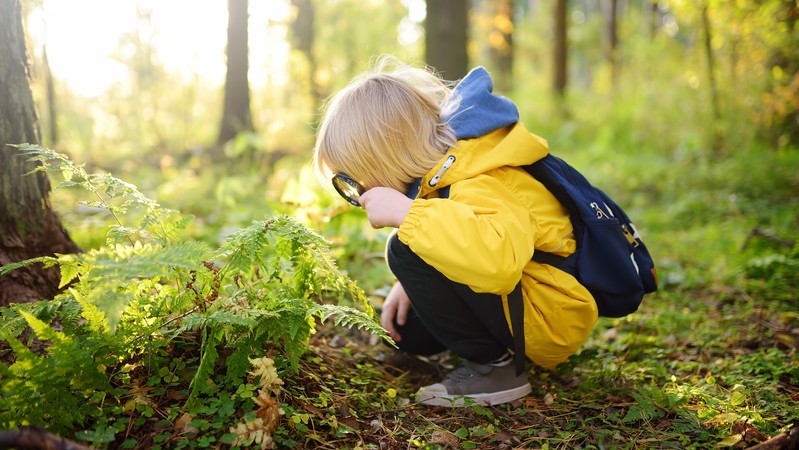 Ein Junge hockt mit einer Lupe in der Natur und betrachtet eine Pflanze