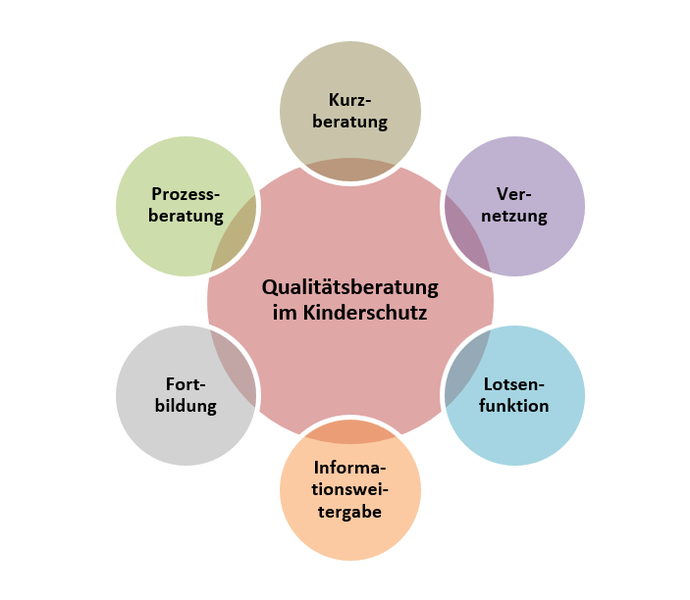 Grafik zu Teilbereichen der Qualitätsberatung