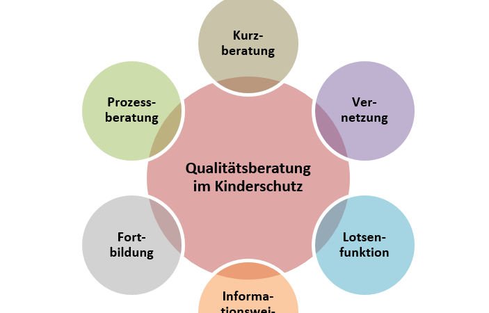 Grafik zu Teilbereichen der Qualitätsberatung