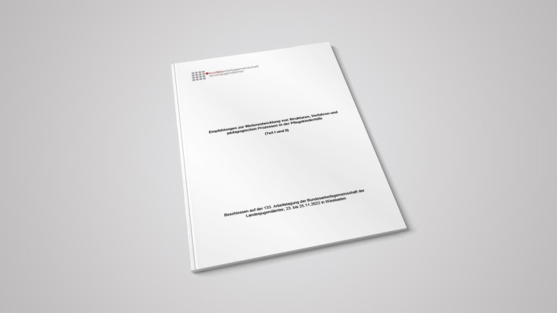 Umschlag der Veröffentlichung: Empfehlungen zur Weiterentwicklung von Strukturen, Verfahren und pädagogischen Prozessen in der Pflegekinderhilfe.