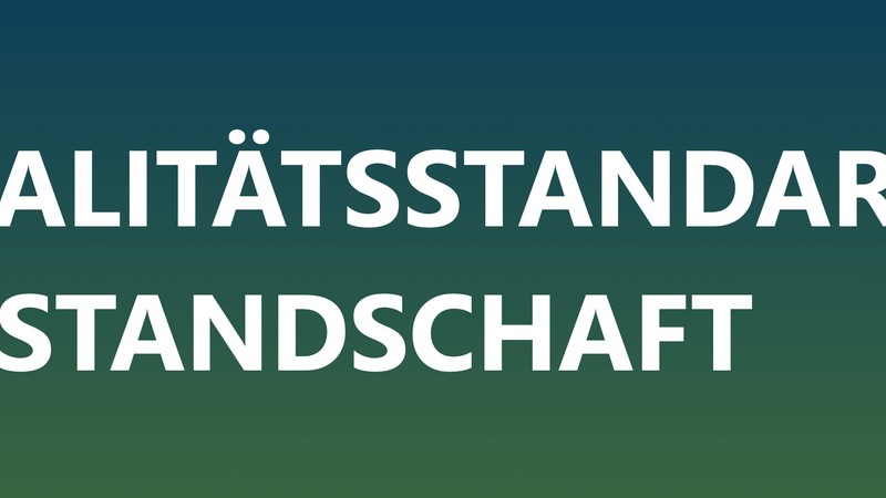 Ausschnitt vom Deckblatt mit dem Text Qualitätsstandards Beistandschaft