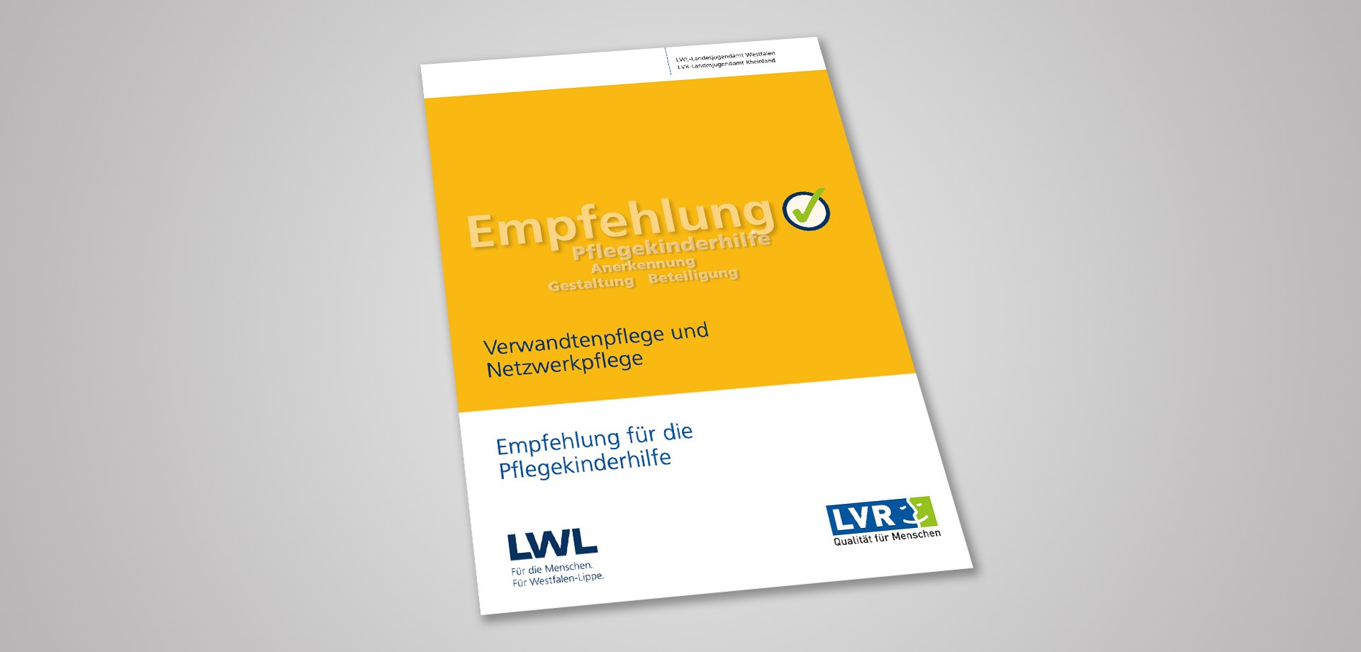 Umschlag der Veröffentlichung.